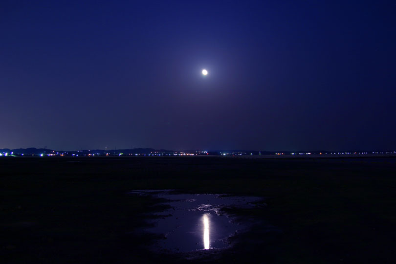 moon night #01